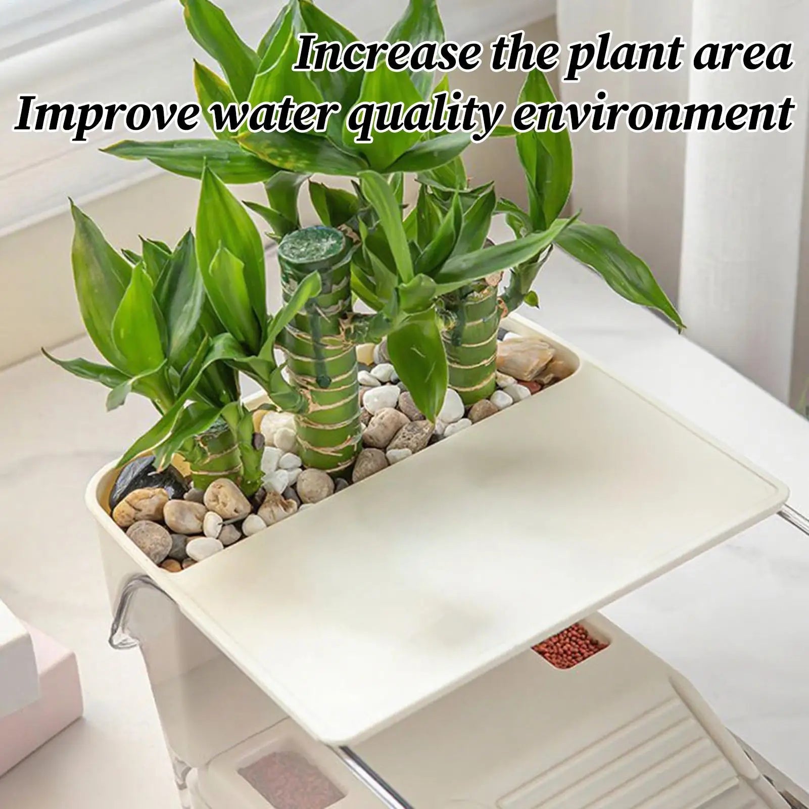 Clear Turtle Tank — Multi-Level Habitat for Basking & Semi-Aquatic Pets