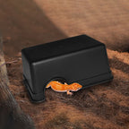 Reptile Hiding Cave — Basking Hide for Turtles & Lizards, S/L
