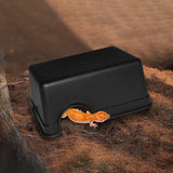 Reptile Hiding Cave — Basking Hide for Turtles & Lizards, S/L
