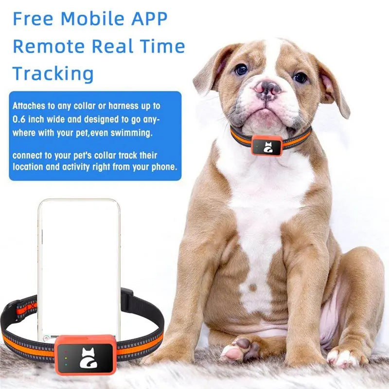 A25F 4G Smart GPS Pet Tracker with Apple Find My Collar for Dogs & Cats - Waterproof