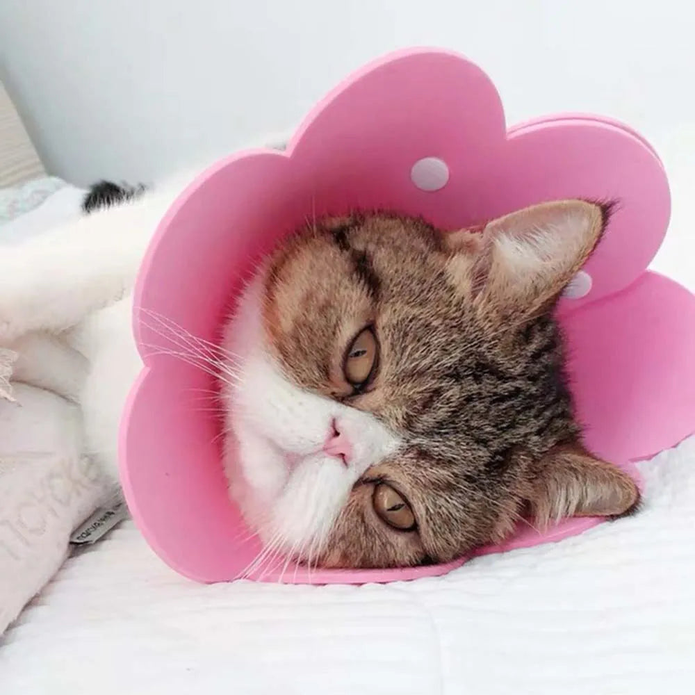 Soft Flower-Shaped Recovery Collar — Comfortable Anti-Lick Cone Alternative