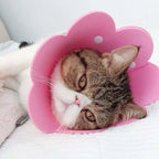 Soft Flower-Shaped Recovery Collar — Comfortable Anti-Lick Cone Alternative