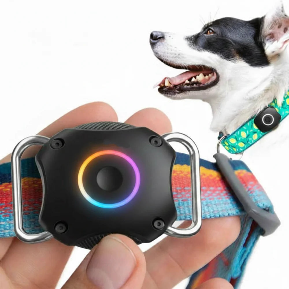 IPX7 Waterproof AirTag Collar Holder for Dogs & Cats - Stainless Steel Anti-Loss Tracker Case