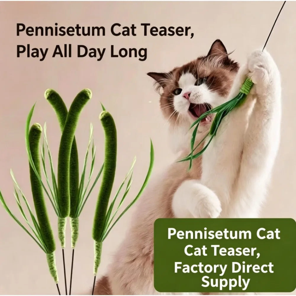 Bristle Grass Cat Wand Chew Toy