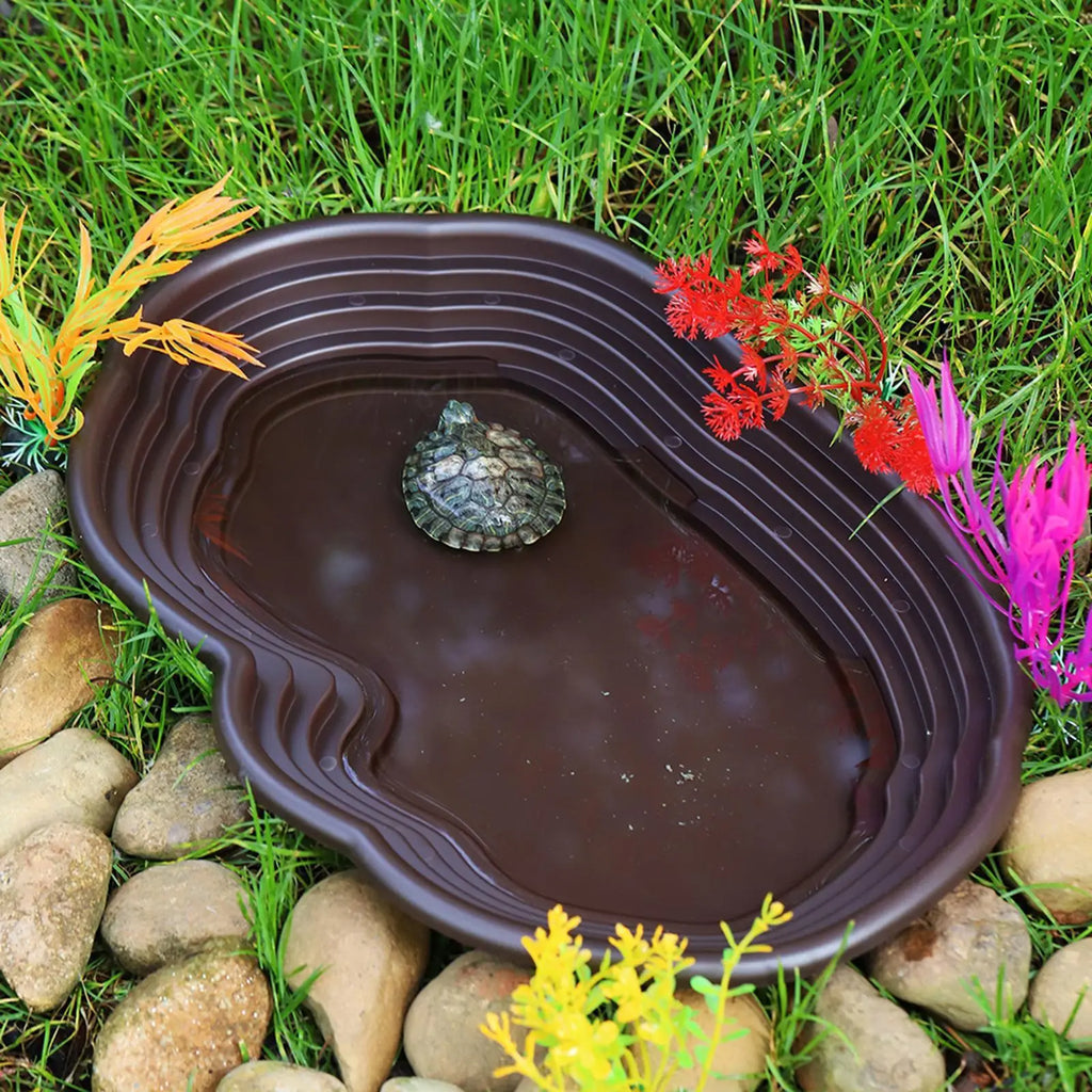 Reptile Bathing Pool & Water Dish Set — Ramp Design for Turtles & Tortoises