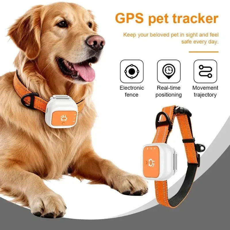GPS Pet Tracker Collar for Puppies & Kittens - Real-Time Locator
