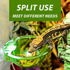 Wall-Mount Arboreal Feeder Bowl — Anti-Escape Suction Cup Dish for Chameleons