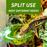 Wall-Mount Arboreal Feeder Bowl — Anti-Escape Suction Cup Dish for Chameleons