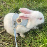 Padded Rabbit Harness & Leash Set — For Outdoor Walks