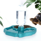 Removable Reptile Feeding Dish — Easy-Clean Bowl for Turtles & Small Pets