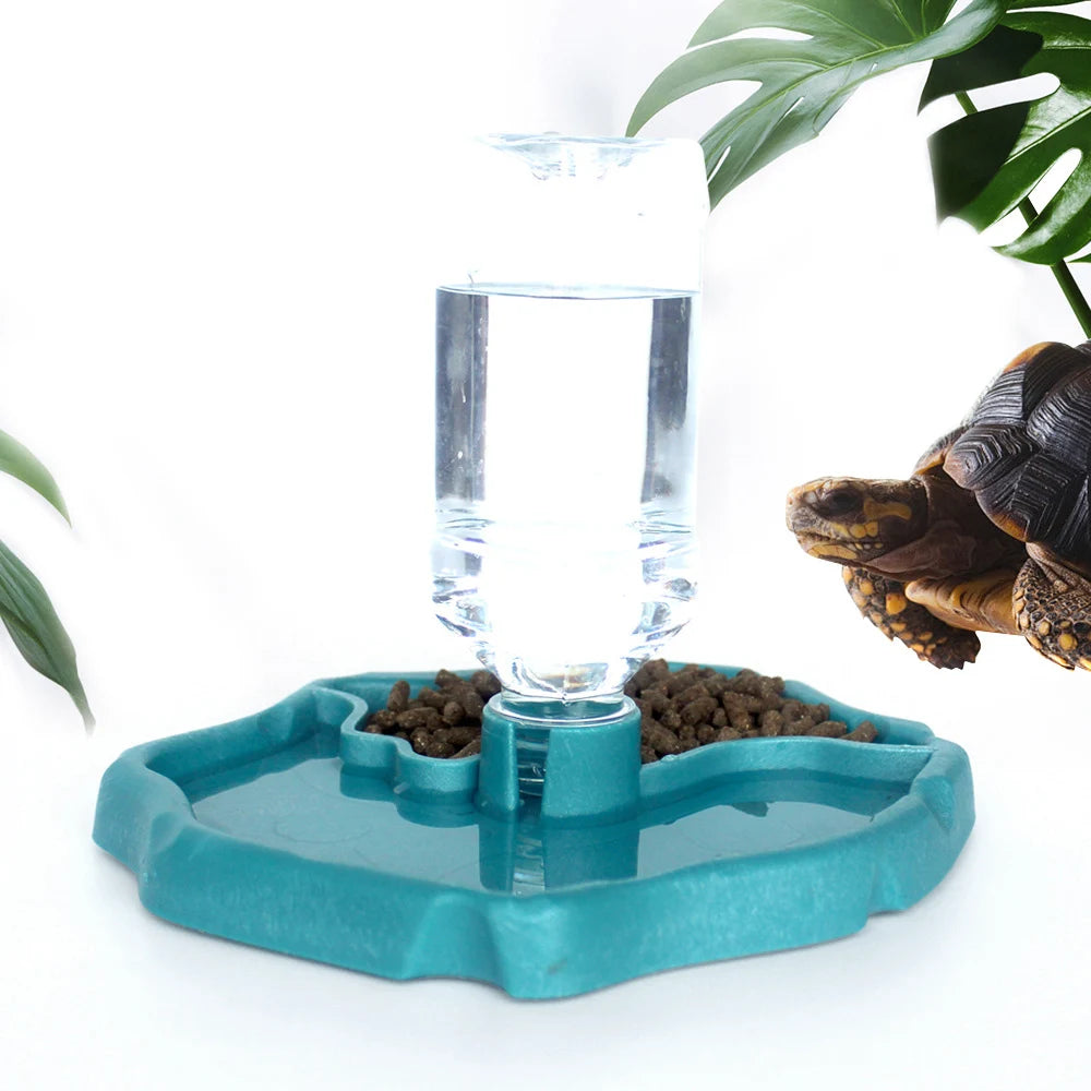 Removable Reptile Feeding Dish — Easy-Clean Bowl for Turtles & Small Pets