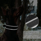 Tactical Dog Collar & Leash Set