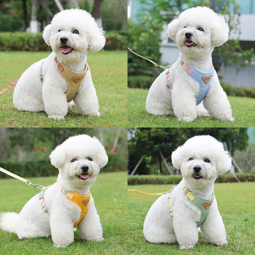 Breathable Harness & Leash Set — For Small Dogs and Cats
