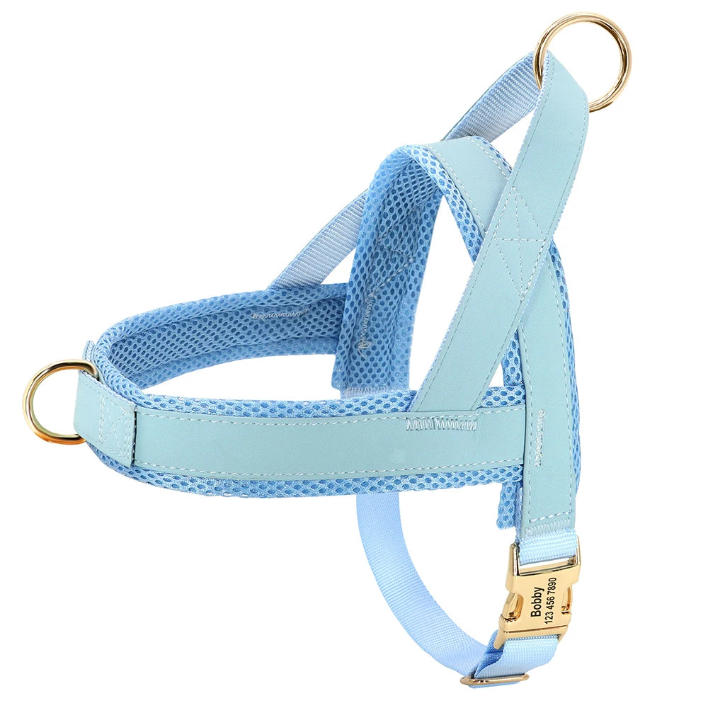 Personalized Engraved Dog Harness