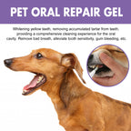 Dog Oral Repair Gel — Tartar Stain Remover & Breath Freshener, 3ml x 2
