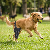 Adjustable Dog Hind Leg Brace (Joint Support, Breathable, XXS to L)