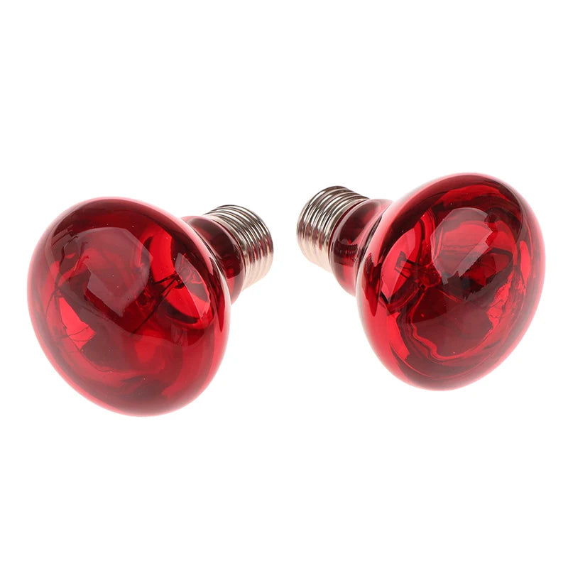 E27 Infrared Basking Bulb — Day & Night Heat Light, 25W–100W