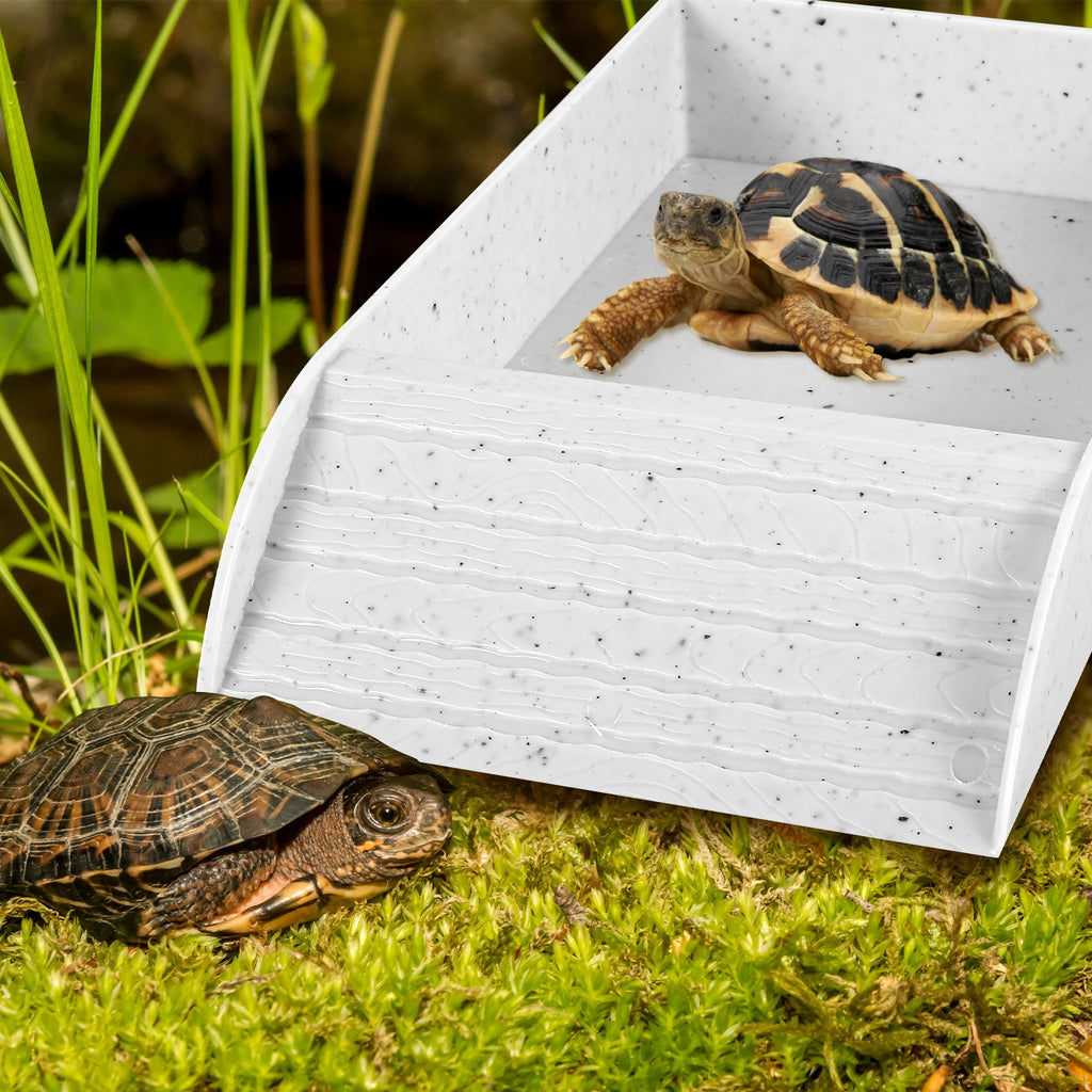 Anti-Slip Tortoise Bathing Dish — Dual-Ramp Food & Water Bowl