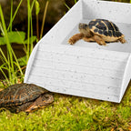 Anti-Slip Tortoise Bathing Dish — Dual-Ramp Food & Water Bowl