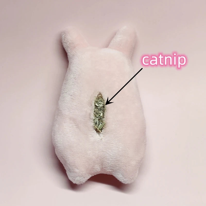 Catnip Plush Cat Toy Set