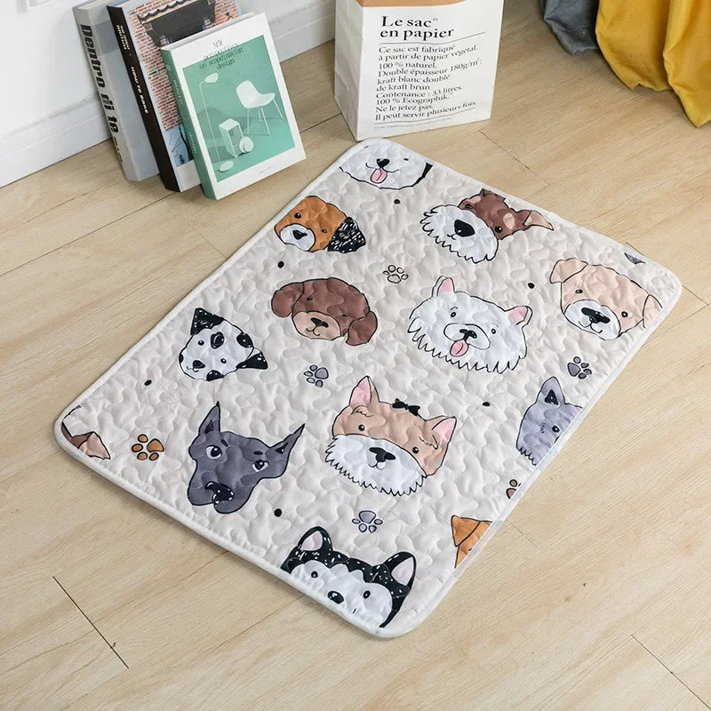 Multi-Functional Washable Pet Mat