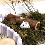 Natural Wood Grinding Chew Toy — Teeth Care for Hamsters & Rabbits