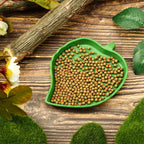 Leaf-Shaped Reptile Food & Water Bowl — Decorative Terrarium Dish