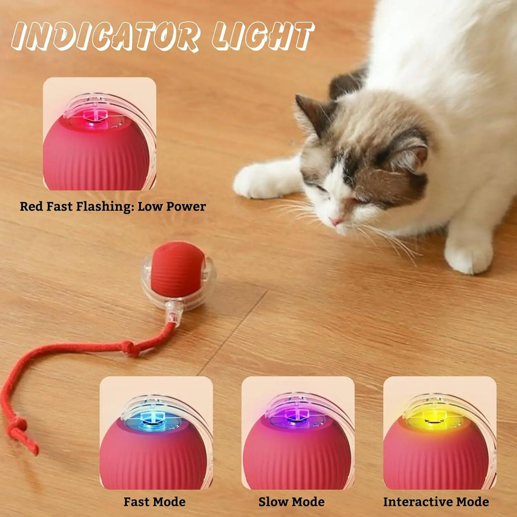 Auto Bouncing Ball Cat Toy — Rechargeable, Motion-Activated, 3 Modes