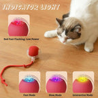 Auto Bouncing Ball Cat Toy — Rechargeable, Motion-Activated, 3 Modes