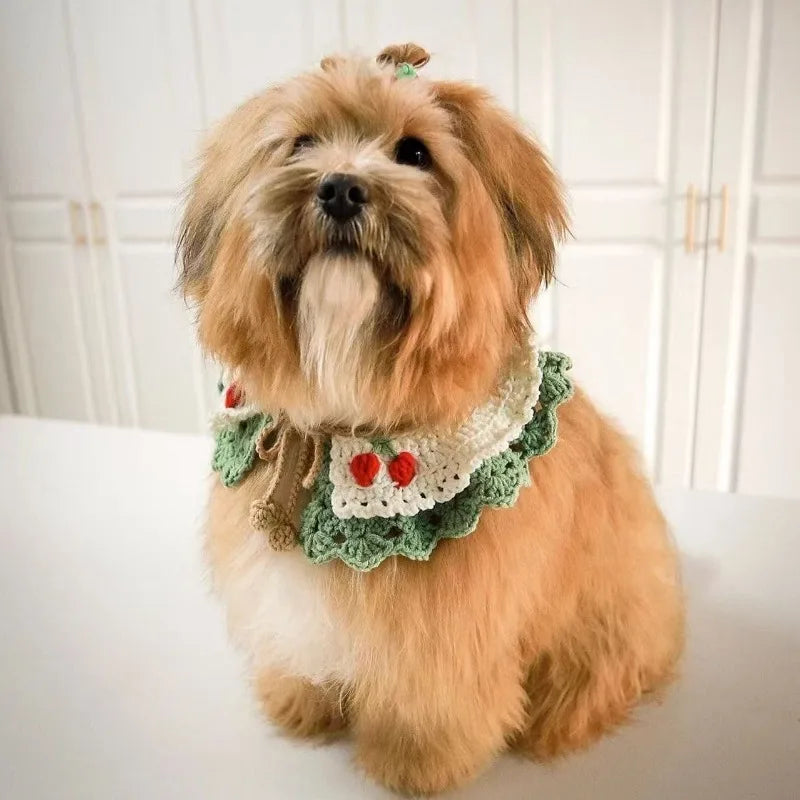 DIY Hand-Knitting Pet Collar & Scarf Kit