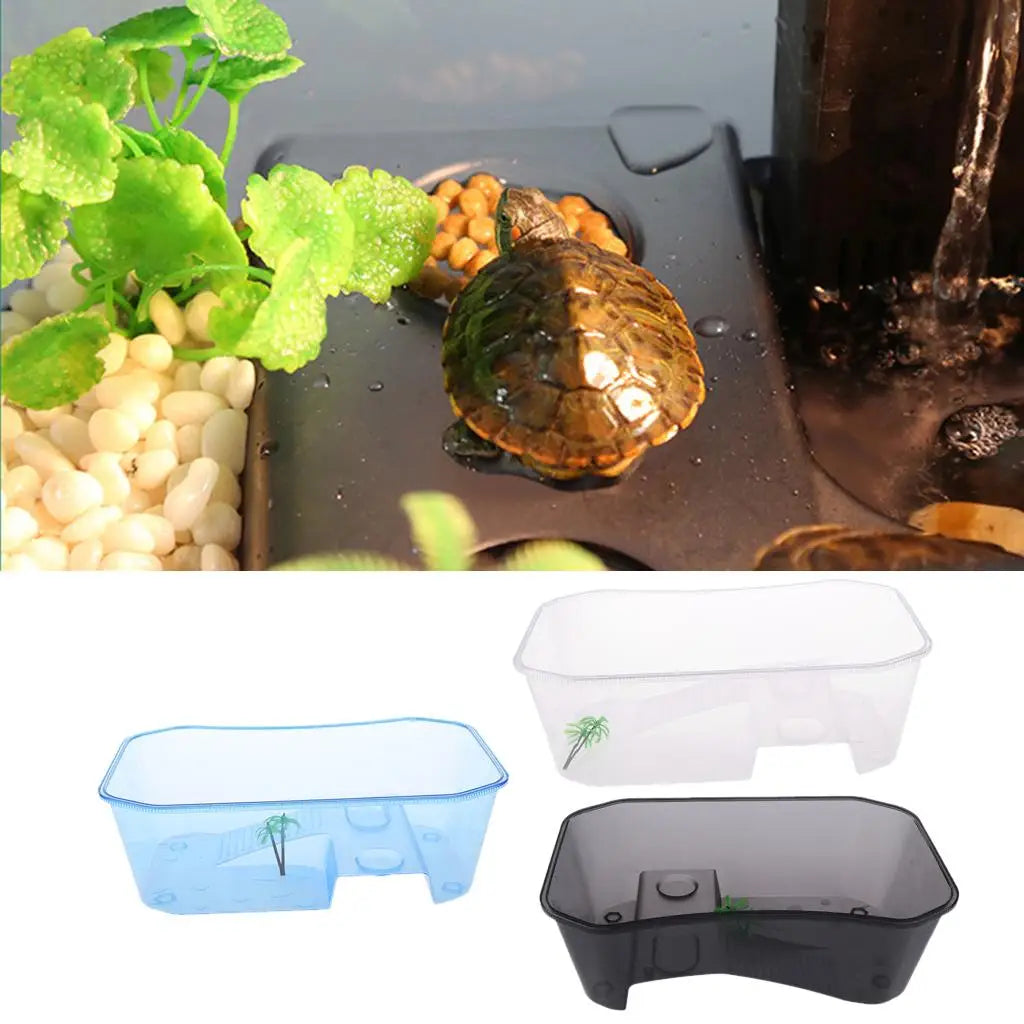 Turtle Tank with Coconut Tree Décor — 5-Zone Terrarium for Turtles & Reptiles