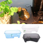 Turtle Tank with Coconut Tree Décor — 5-Zone Terrarium for Turtles & Reptiles