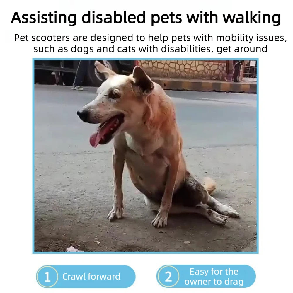 Dog Wheelchair with Rear Leg Support — Mobility Aid Scooter for Disabled & Elderly Dogs