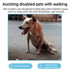 Dog Wheelchair with Rear Leg Support — Mobility Aid Scooter for Disabled & Elderly Dogs