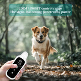 Digital Dog Training Collar (800m Waterproof Rechargeable)