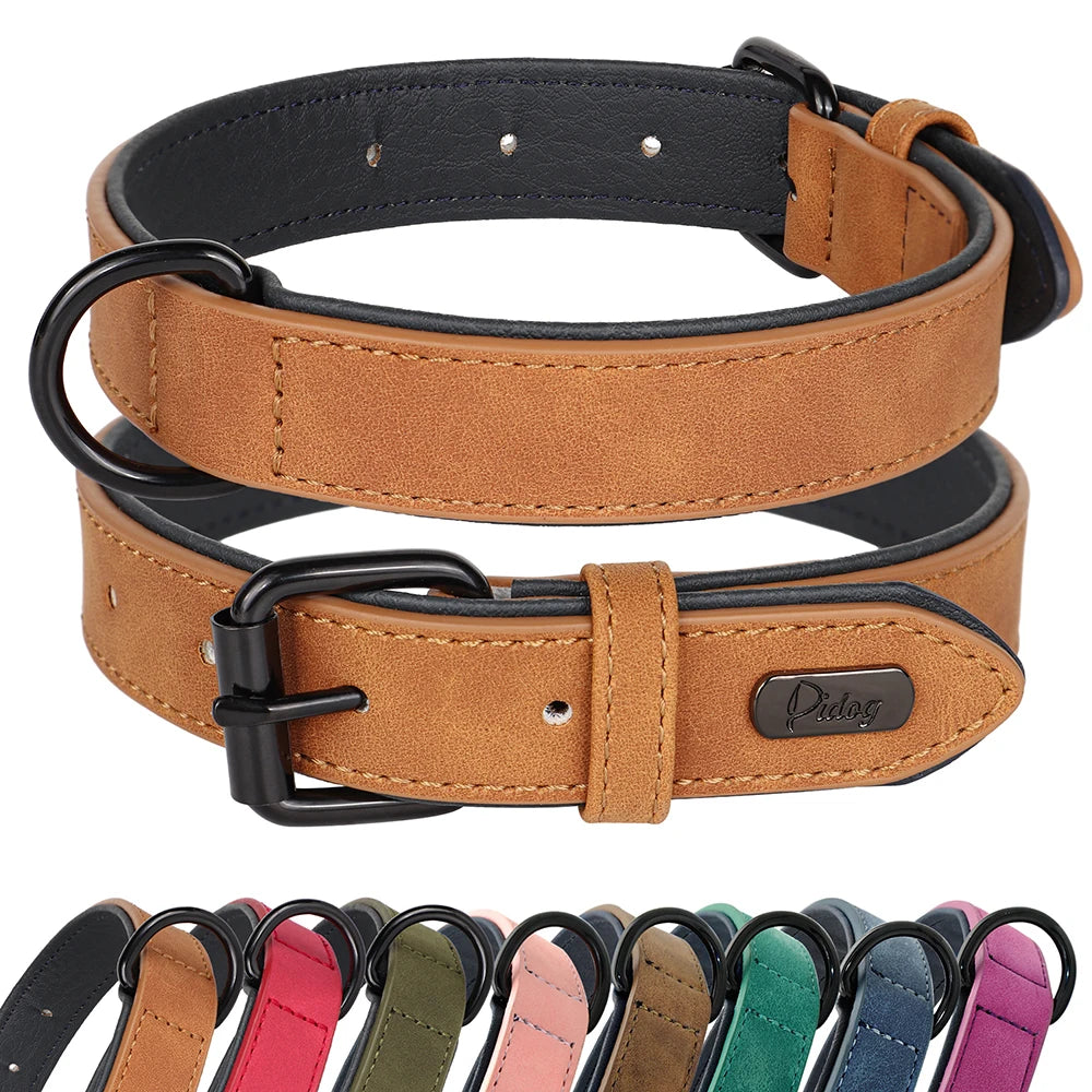 Padded Leather Dog Collar
