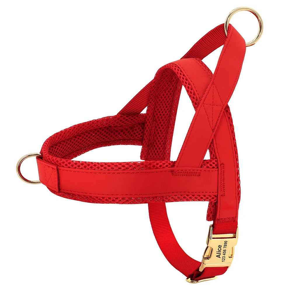 Personalized Engraved Dog Harness