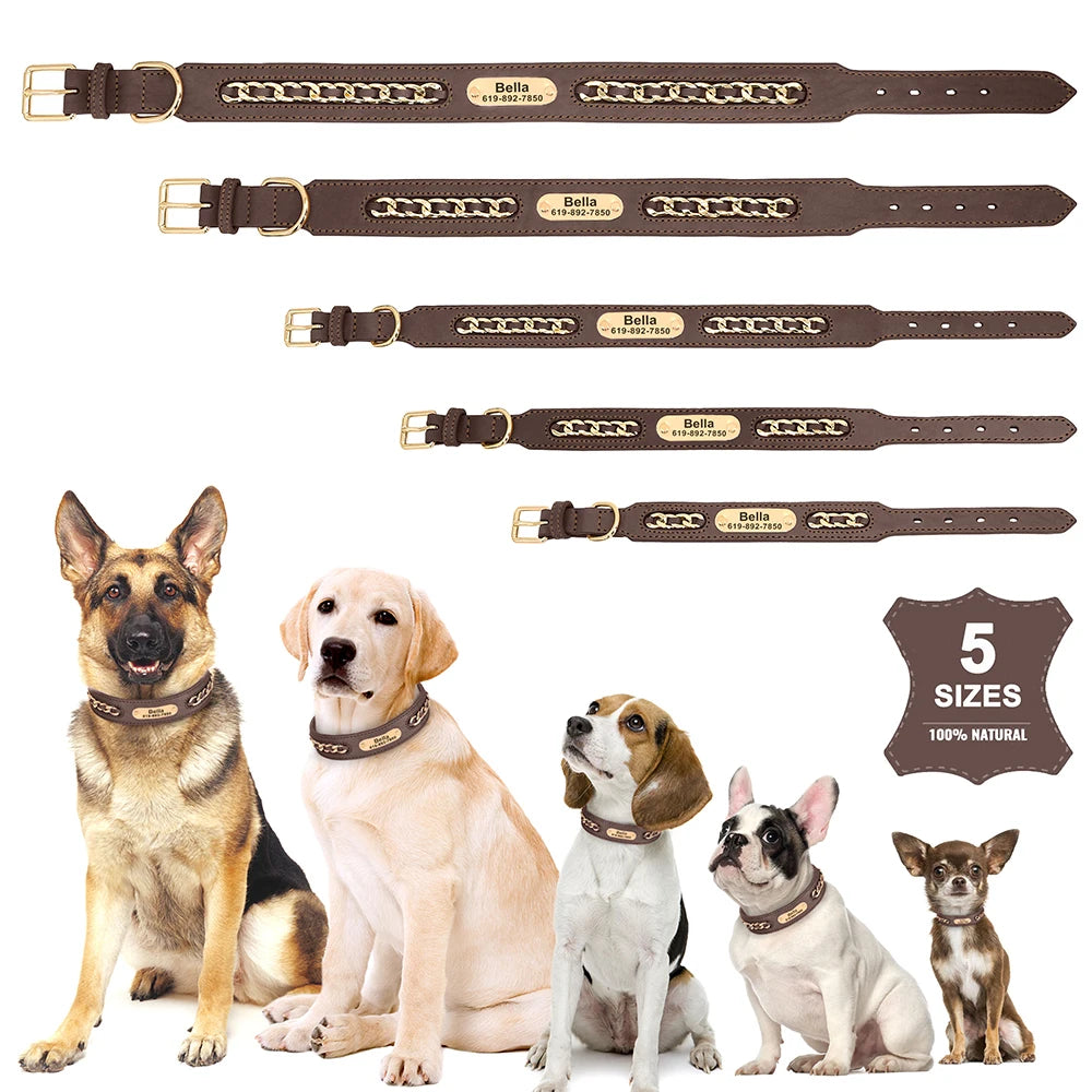 Custom Engraved Leather Dog Collar