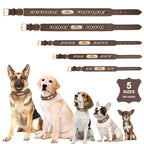 Custom Engraved Leather Dog Collar