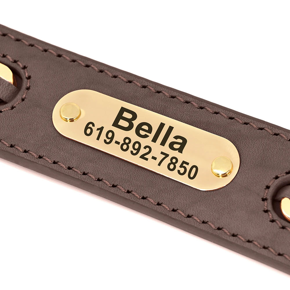 Custom Engraved Leather Dog Collar