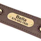 Custom Engraved Leather Dog Collar