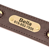Custom Engraved Leather Dog Collar