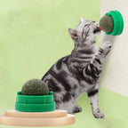 Mint Cat Dental Chew Ball Toy — Teeth Cleaning & Solo Play