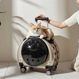 Pet Carrier with Wheels Transparent Pet Carrier Suitcase Hard-Sided Cats, Small Dogs, Travel, Airport, Professional Visits