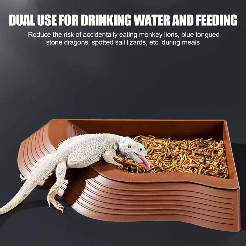 Dual-Use Turtle Bath Basin — Half-Water Habitat & Feeding Box