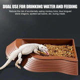 Dual-Use Turtle Bath Basin — Half-Water Habitat & Feeding Box