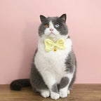 Candy Color Bow Collar for Cats & Small Dogs