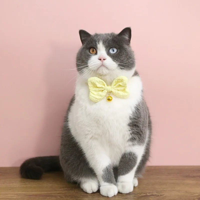 Candy Color Bow Collar for Cats & Small Dogs