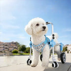 Adjustable Pet Wheelchair Mobility Aid for Disabled Dogs & Cats