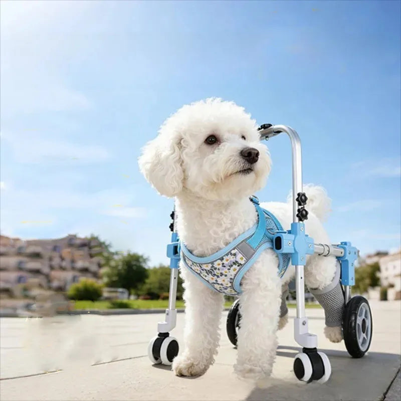Adjustable Pet Wheelchair Mobility Aid for Disabled Dogs & Cats
